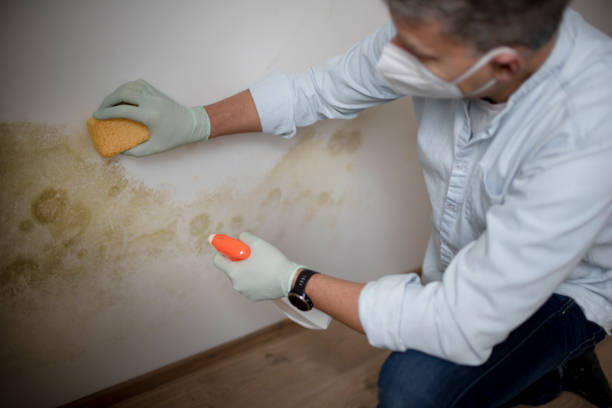 Best Commercial Mold Inspection  in Austin, TX